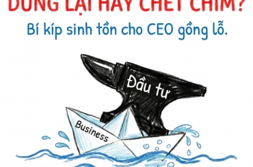 KHI NÀO NÊN DỪNG ĐẦU TƯ ĐỂ BẢO TOÀN DOANH NGHIỆP VÀ TRÁNH ĐỨT DÒNG TIỀN