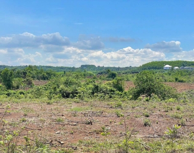 11 thửa đất Full đất ở diện tích lớn hiếm có giá tốt nhất thị trường