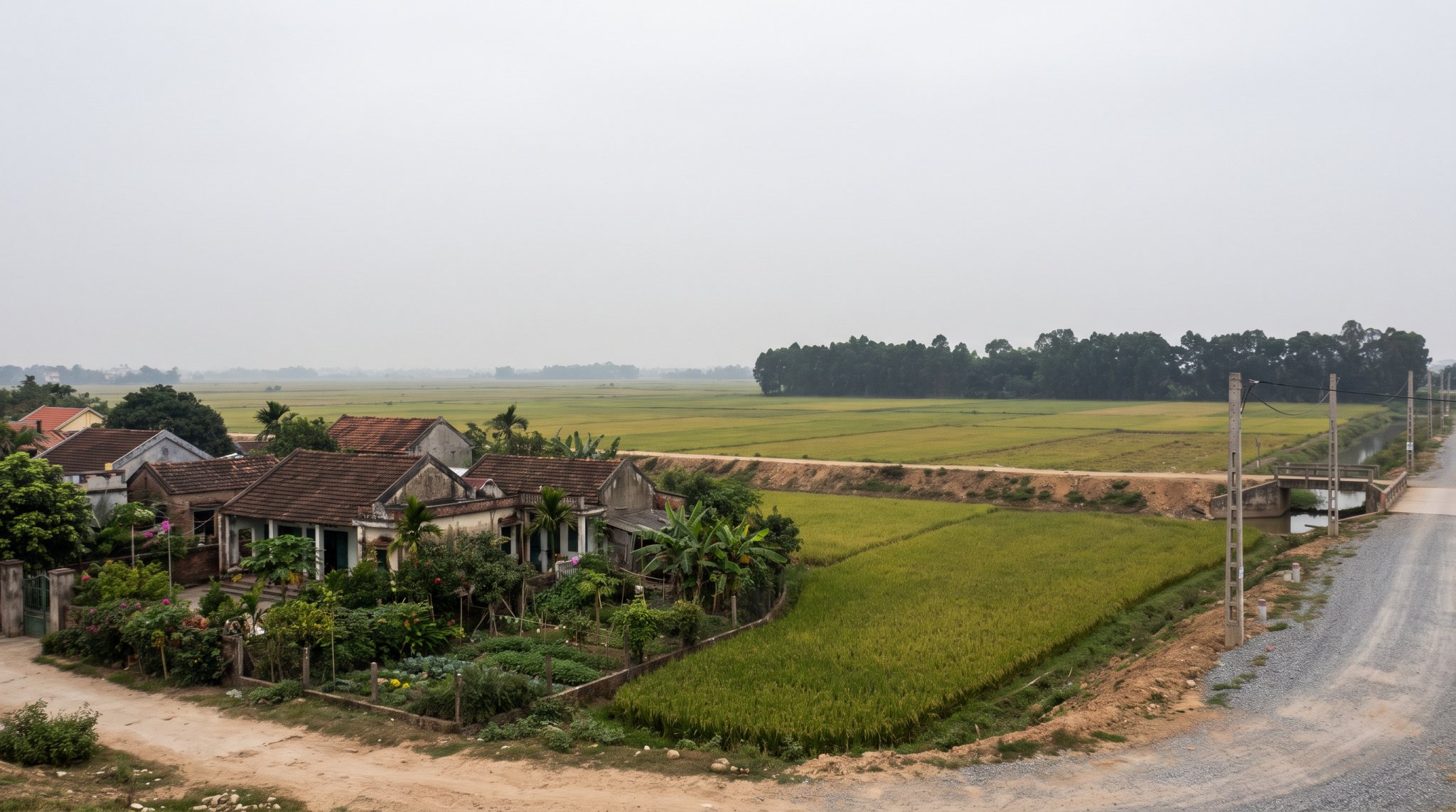 Ranh giới xã An Phước và xã Bình Sơn Long Thành gần vùng quy hoạch sân bay