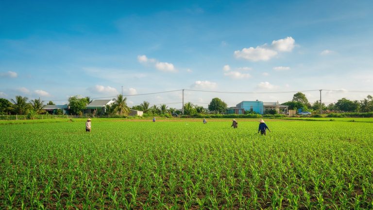 Thu hồi đất nông nghiệp ở Long Thành: được bồi thường, hỗ trợ những khoản nào?