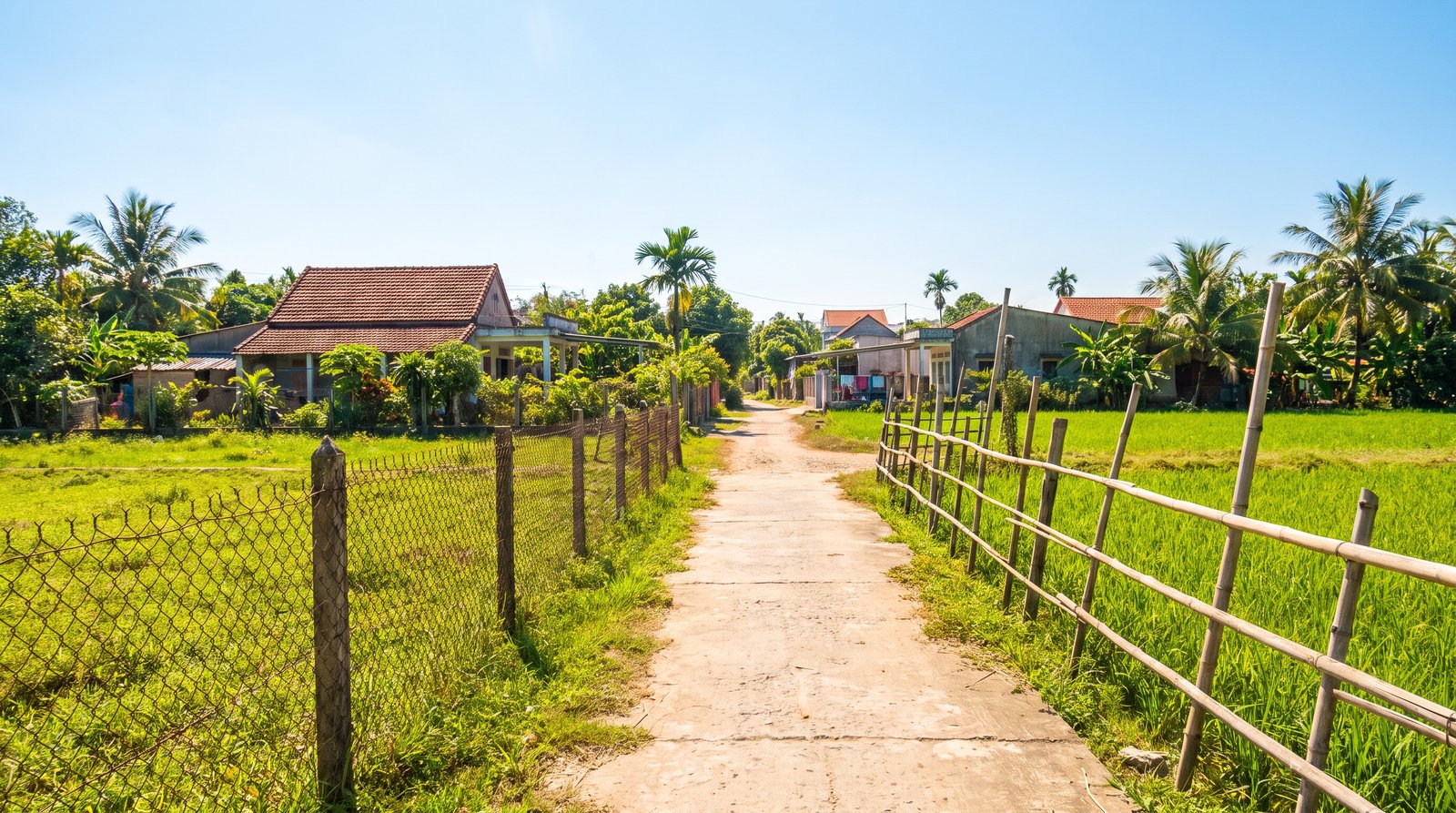 Lối đi nhỏ giữa hai thửa đất vùng nông thôn Long Thành