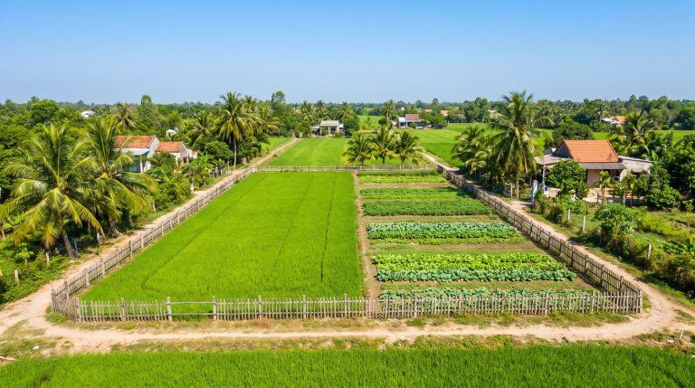 Hợp thửa đất ở Long Thành: điều kiện và thủ tục gộp nhiều thửa thành một
