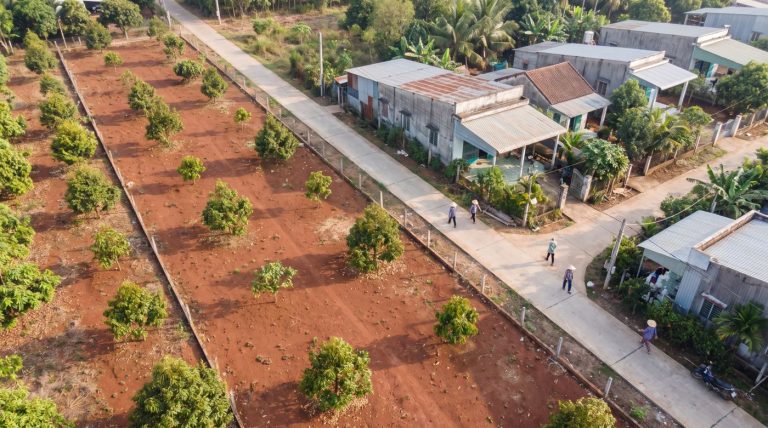 Chuyển đất trồng cây lâu năm sang đất ở tại Long Thành: tiền sử dụng đất tính thế nào
