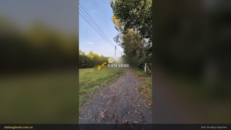 Đường vào lô đất 100 m² xã Long Thành, trước là xã Bình Sơn