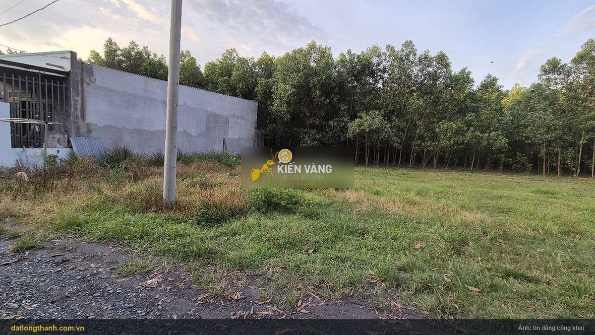 Lô đất 100 m² xã Long Thành, trước là xã Bình Sơn, nhìn từ đường vào
