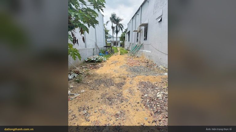 Hướng nhìn sâu vào trong lô đất 200 m² xã Phước Thái, Long Thành
