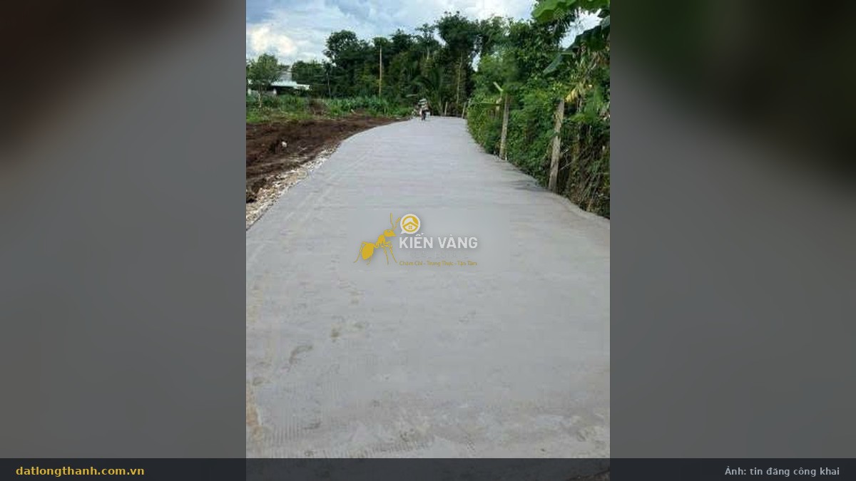 Đường bê tông ô tô trước lô đất 92,3 m² xã Cẩm Đường, Long Thành