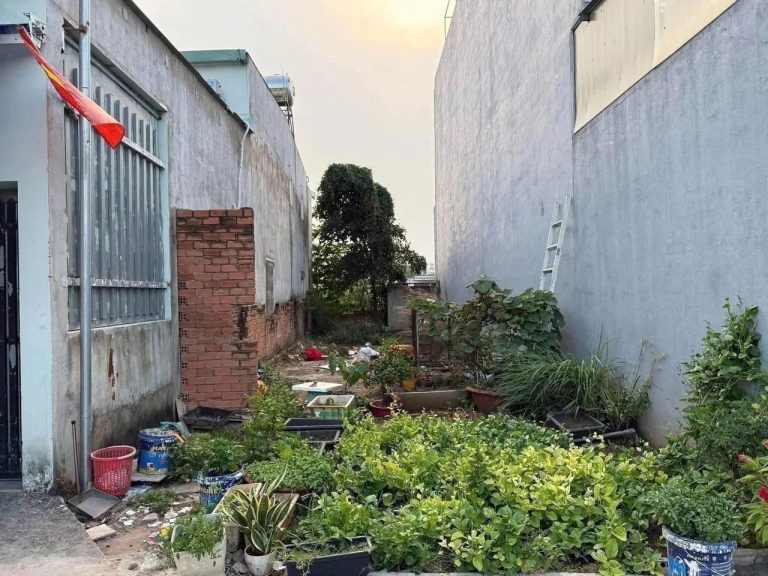 Chiều sâu lô đất 100m² An Phước nhìn từ hẻm bê tông vào, hai bên là tường nhà hàng xóm đã hoàn thiện