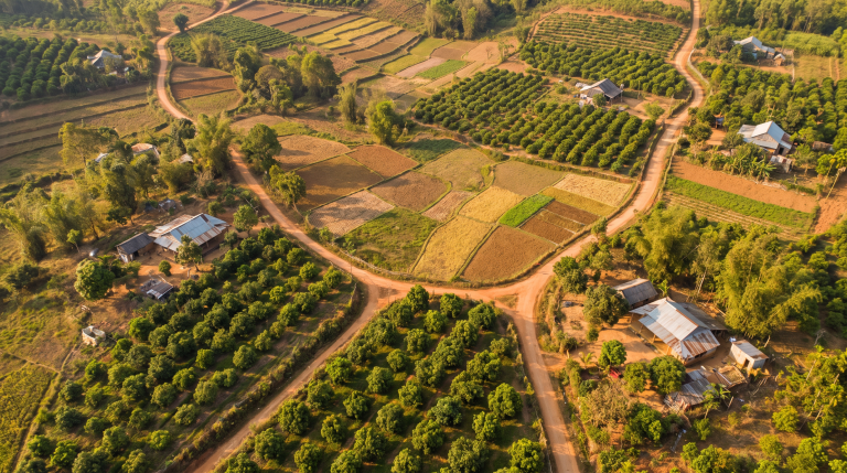 Đất xã Xuân Đường 2026: giá trung vị 6,0 triệu/m², mẫu chỉ 2 tin nên tôi chưa dám chắc