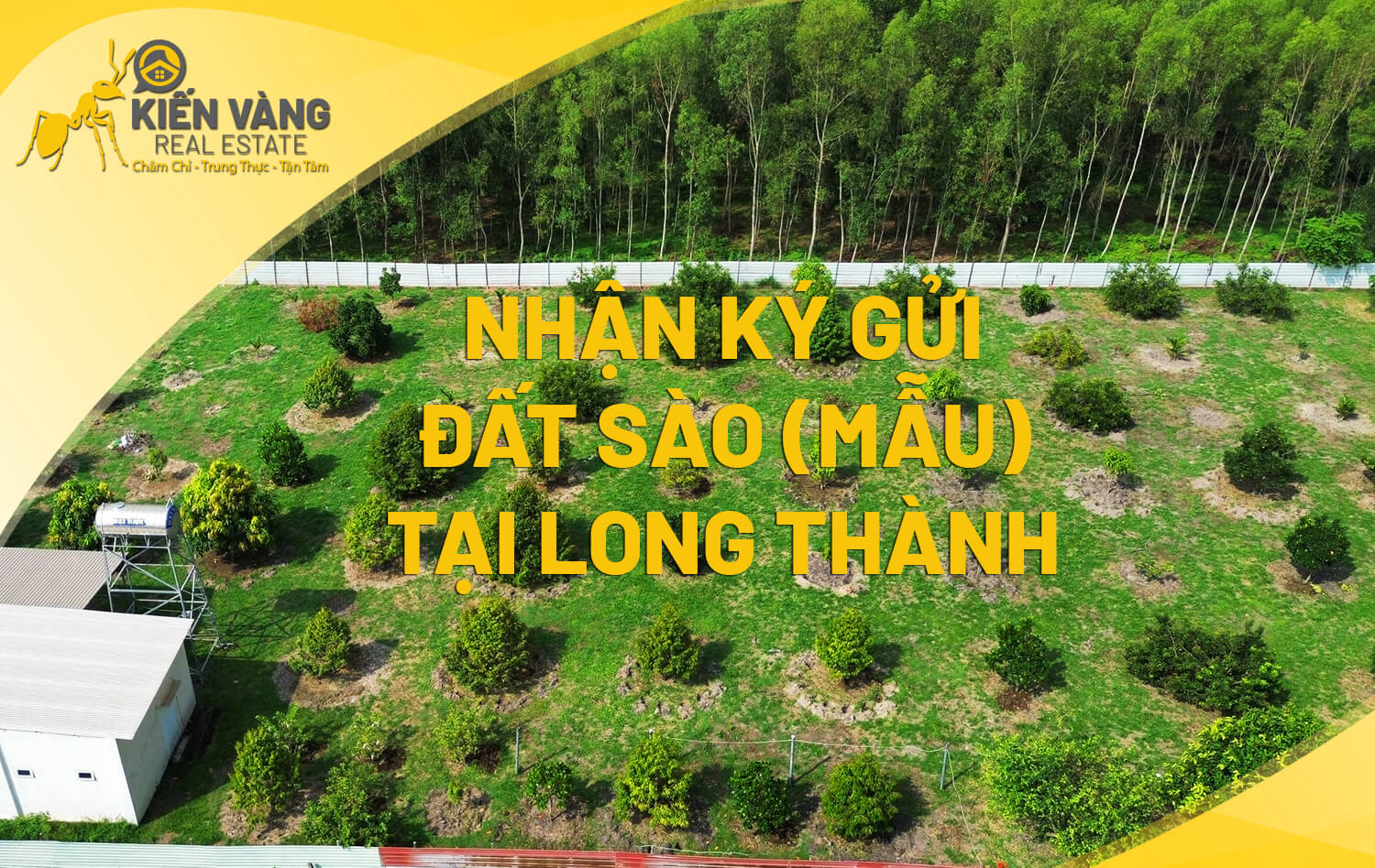 NHẬN KÝ GỬI ĐẤT SÀO TẠI LONG THÀNH