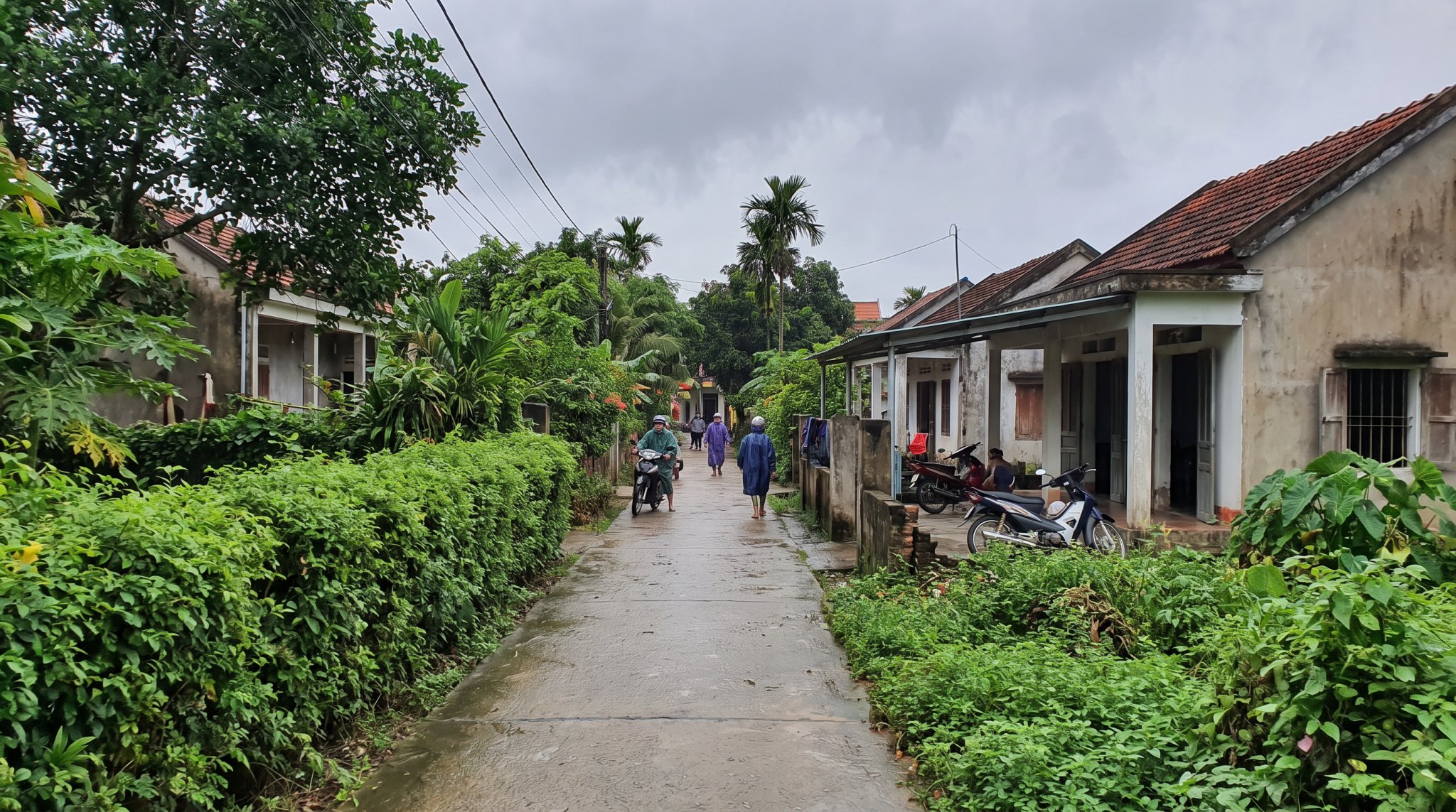 Đường nhánh nội bộ xã Long An Long Thành đất ở nông thôn ONT