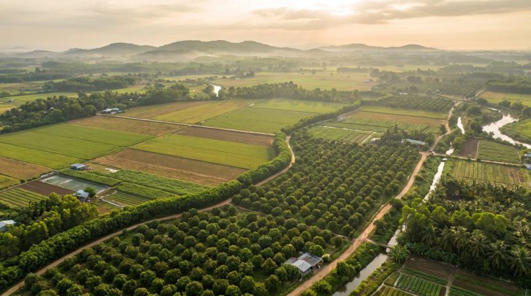 Hạn mức giao đất và nhận chuyển nhượng đất nông nghiệp ở Long Thành theo Luật Đất đai 2024