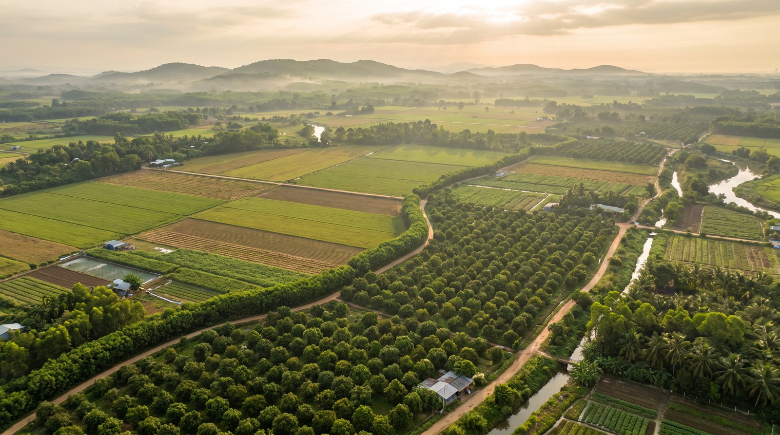 Cánh đồng và vườn cây lâu năm rộng vùng ven Long Thành Đồng Nai