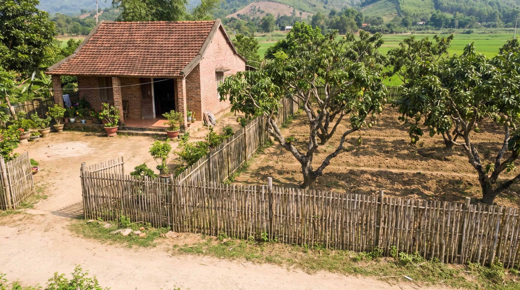 Lô đất hỗn hợp ONT CLN Long Thành tư vấn mua lần đầu