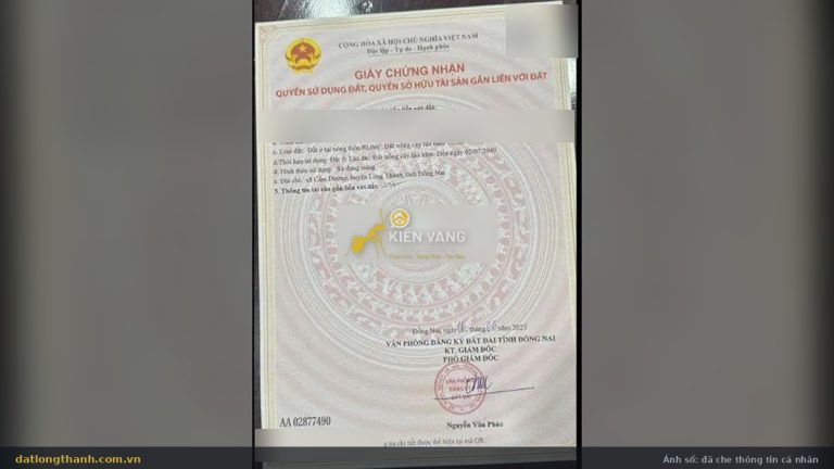 Giấy chứng nhận quyền sử dụng đất 92,3 m² xã Cẩm Đường, đất ở 80 m² và cây lâu năm 12,3 m²