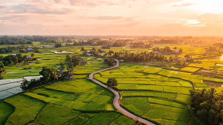 Đất trong diện giải tỏa tại Long Thành: quyền lợi, quy trình và mức bồi thường theo Luật Đất đai 2024